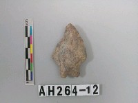 藏品(打製帶鋌石鏃)的圖片